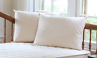 Naturepedic Organic Kapok/Cotton Pillow