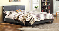 Furniture of America Evans Bed Gray