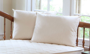 Naturepedic Organic Cotton/PLA Pillow