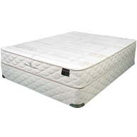 NaturaOrganics EcoRenew Mattress