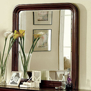 Furniture of America Louis Philippe II Mirror Cherry