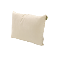 NaturaOrganics Toddler Pillow